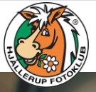 Hjallerup Fotoklub