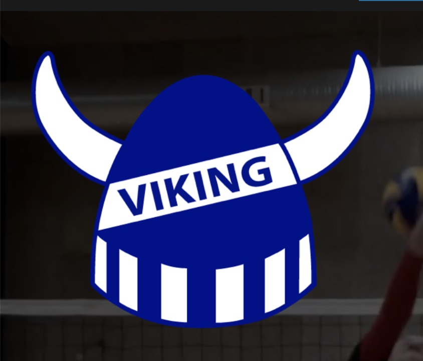 Syddansk Idrætsklub Viking