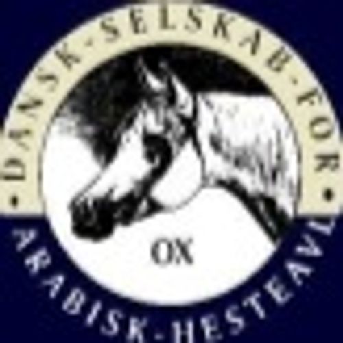 Dansk Selskab for Arabisk Hesteavl (DSAH)