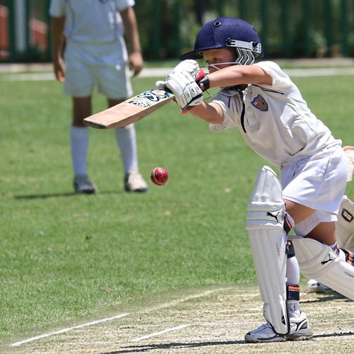 Fredensborg Cricket Club