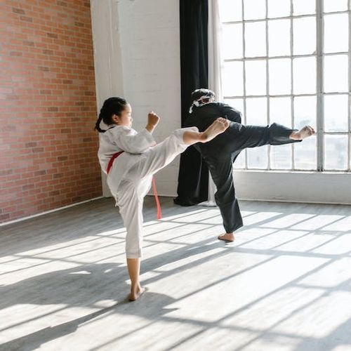 Fredensborg Taekwondo Klub, MuDo Gajok