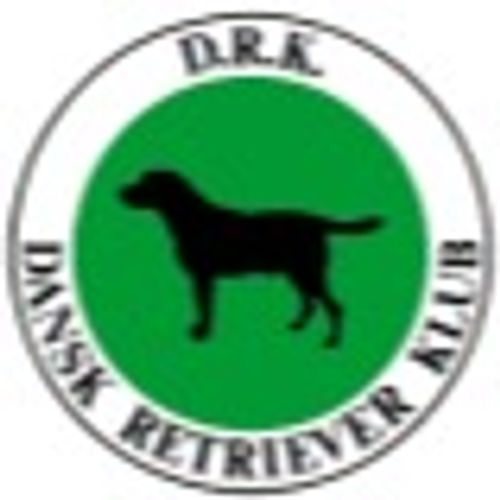 Dansk Retriever Klub Region Fyn