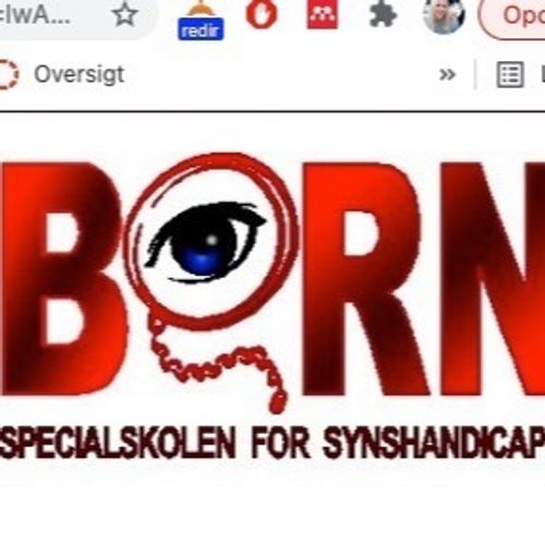 BORN - specialskolen for synshandicappede