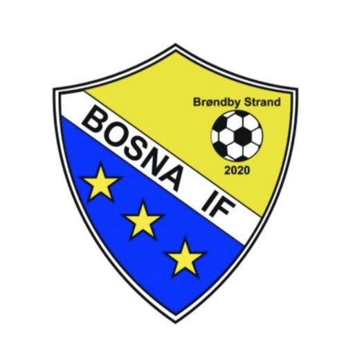 Bosna I.F