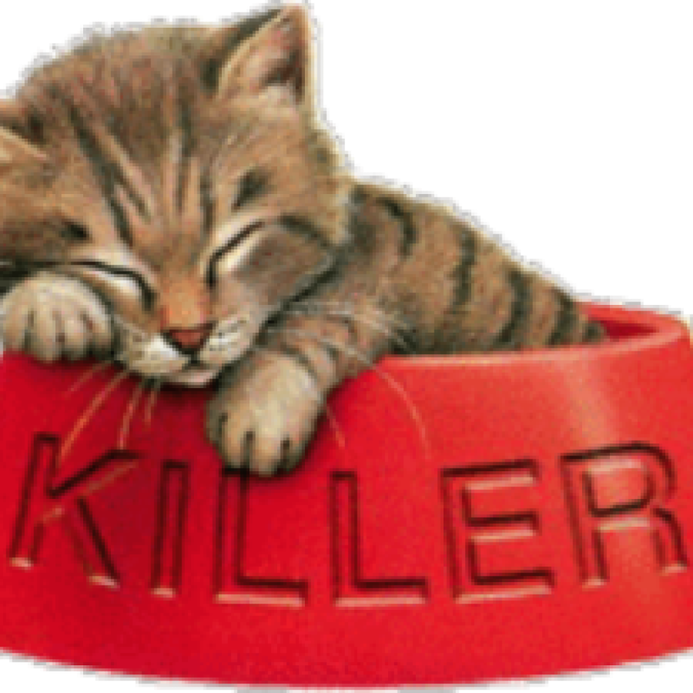 har lyst til at danne matadorklub 