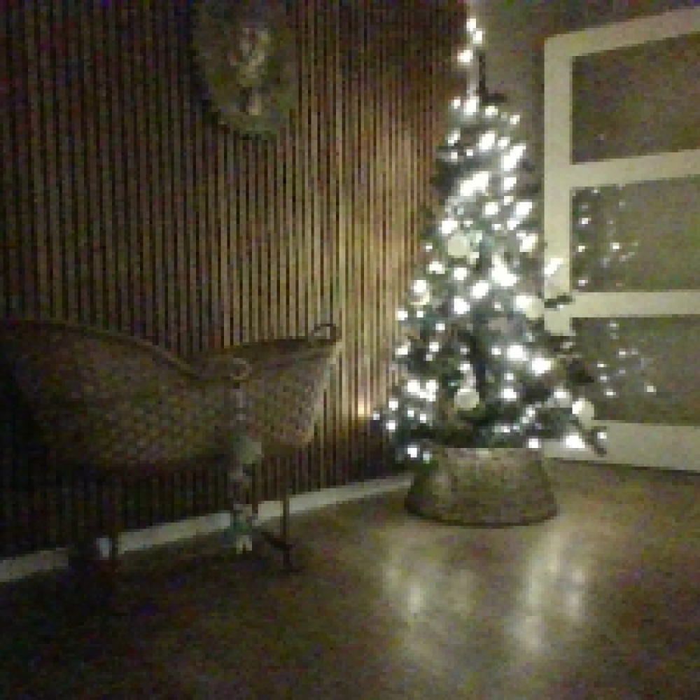 Reservebedsteforældre søges