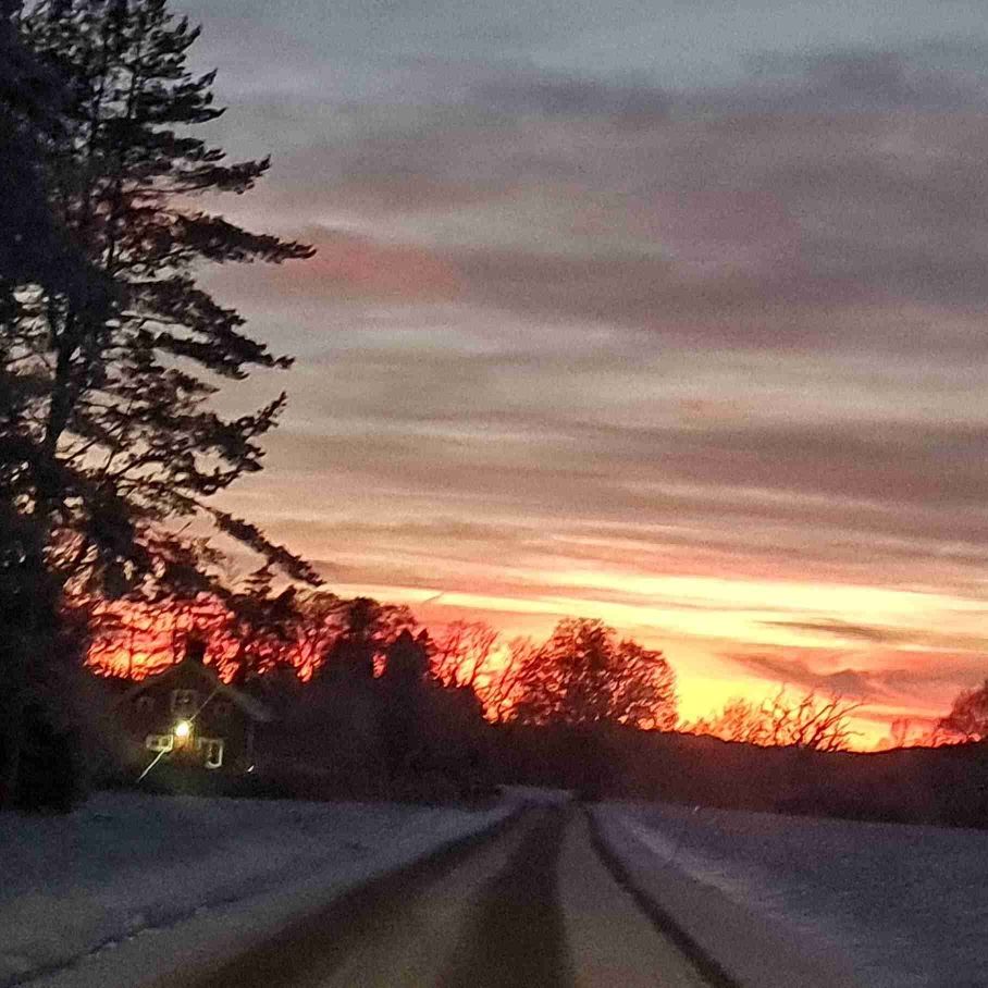 Söker vänner som vill umgås 