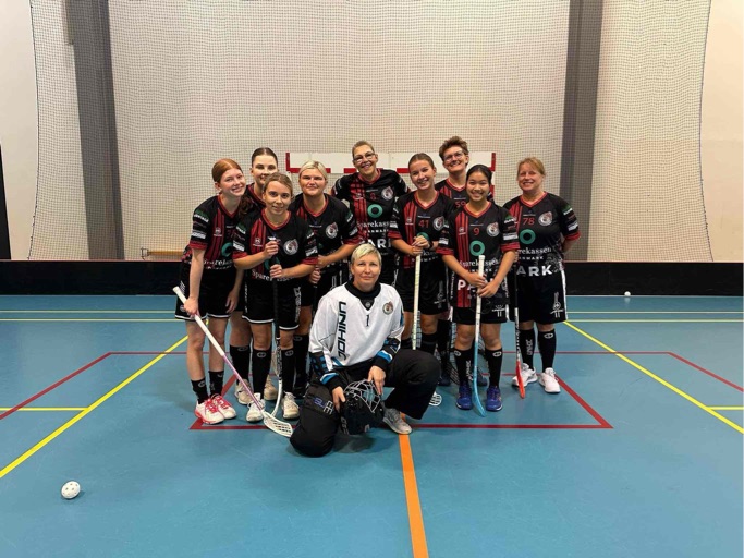 Holdkammerater til dame-floorball