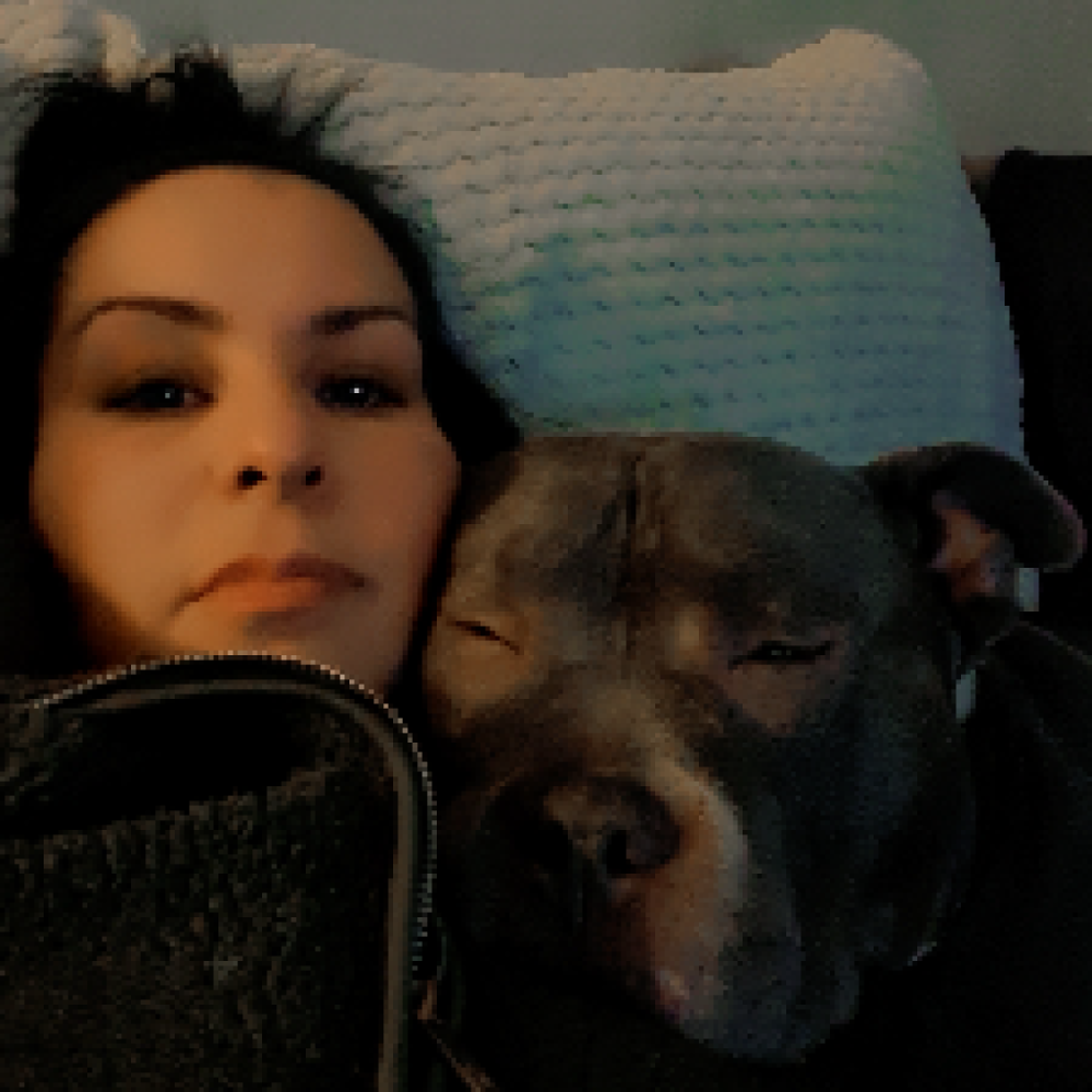 Vänner och hundpromenader