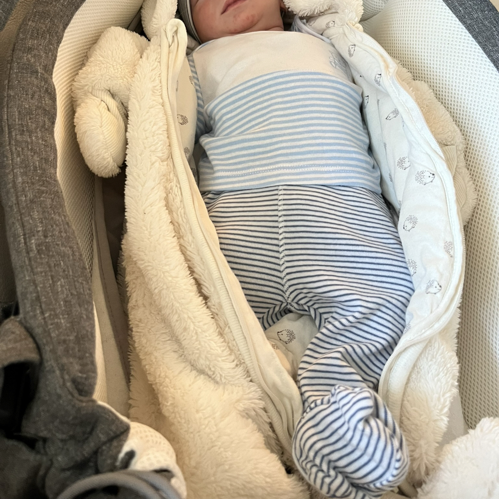 Reservebedste/familie/onkel 