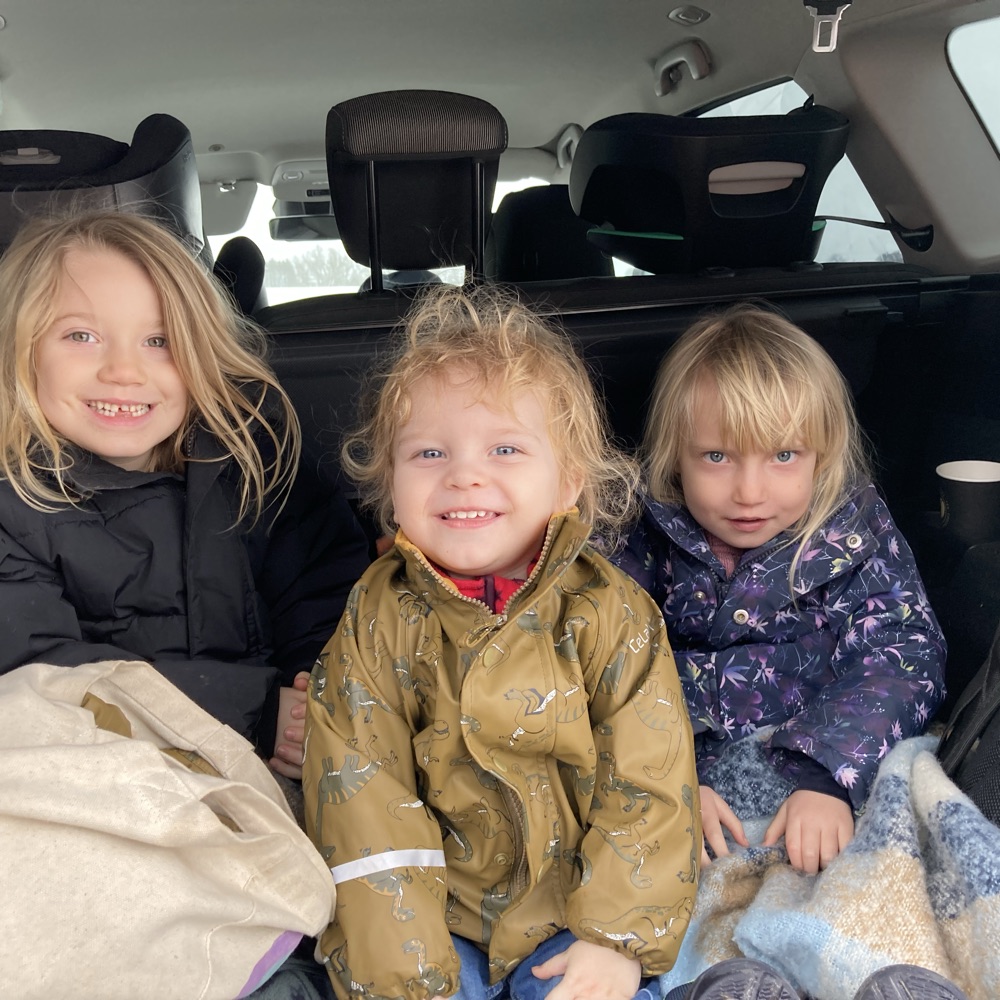 Søger reservebedste 