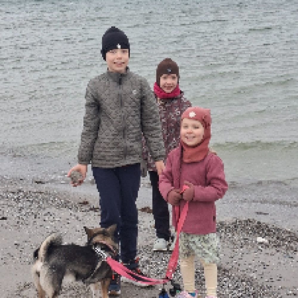 Reserve bedsteforældre søges