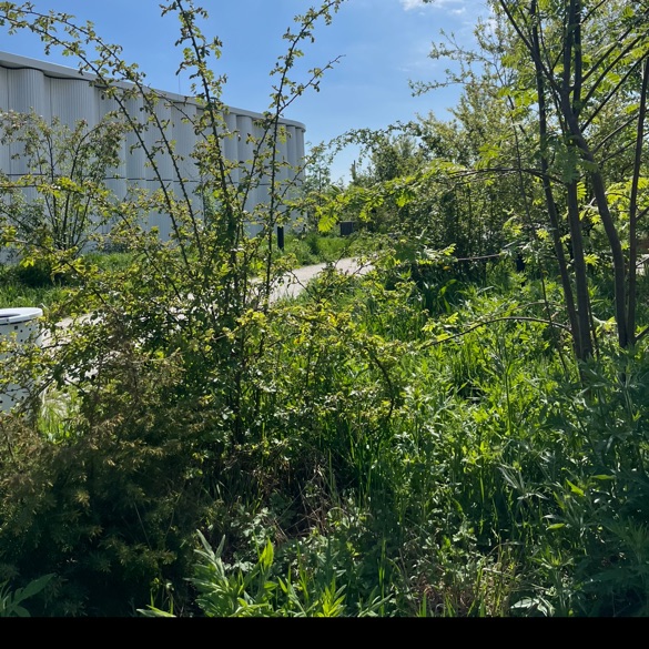 Veninde gruppe i KBH