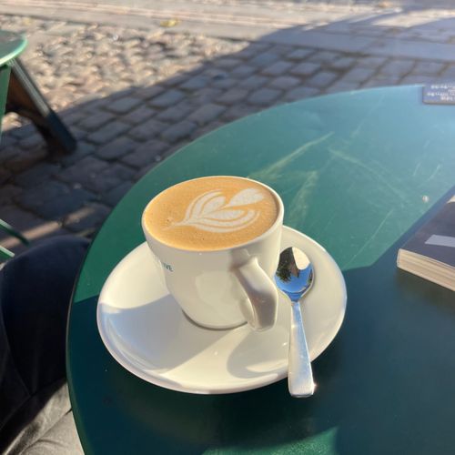 Søger venner/veninder 