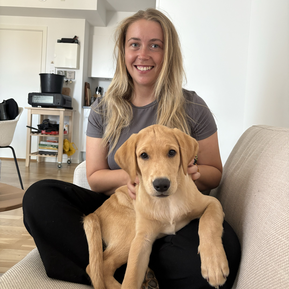 Veninder/veninde gruppe