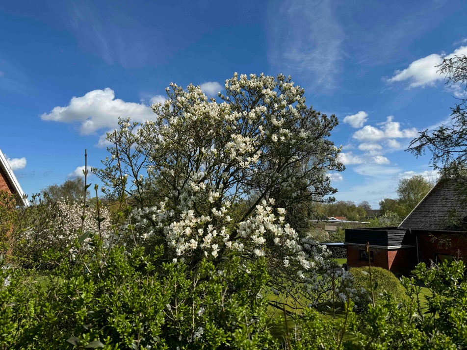 Gåture i den nordsjællandske natur