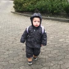 Søger reservebedste/førtidspensioni