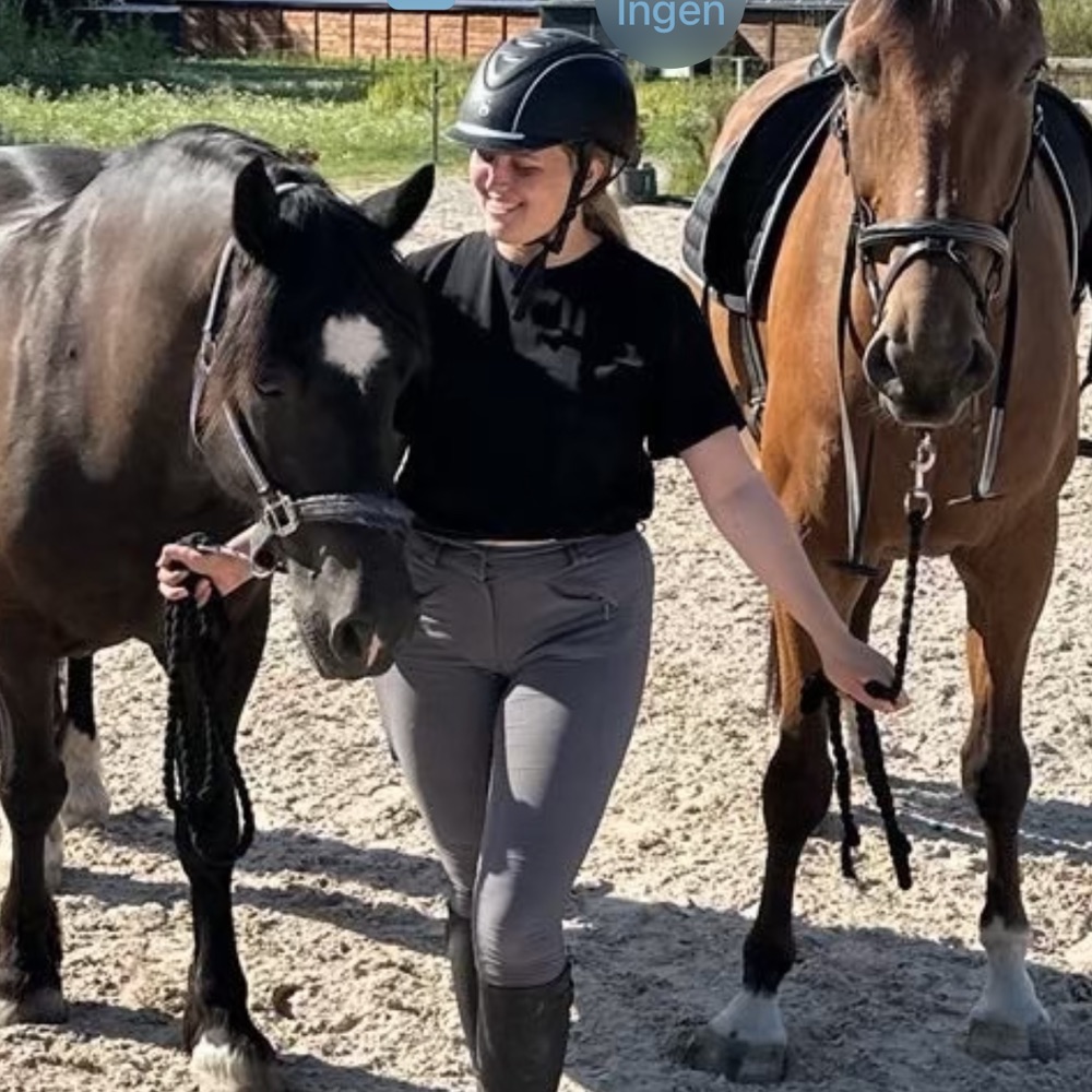 Veninder/venner søges 