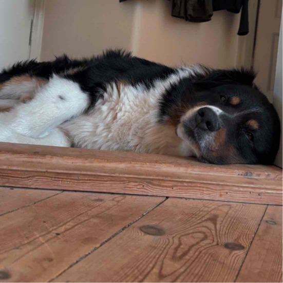 Nye bekendtskaber 🤓