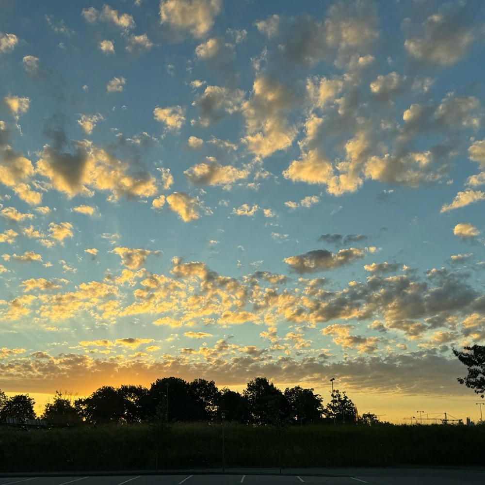 Sammenskudsnytår med par i Hørsholm