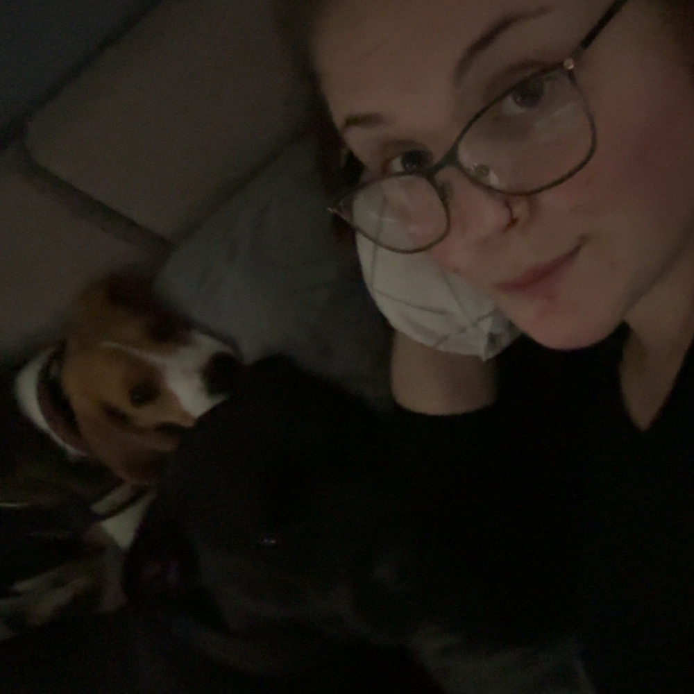 Vi søger nogen veninder