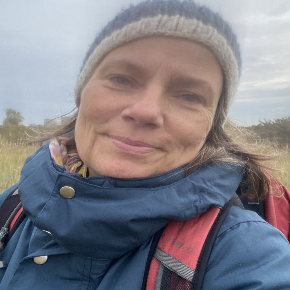Tai Chi og Qigong, Byparken Ørestad