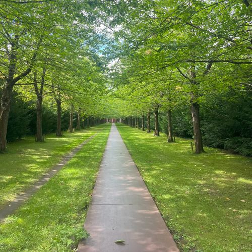 Søger gå tur i Albertslund 