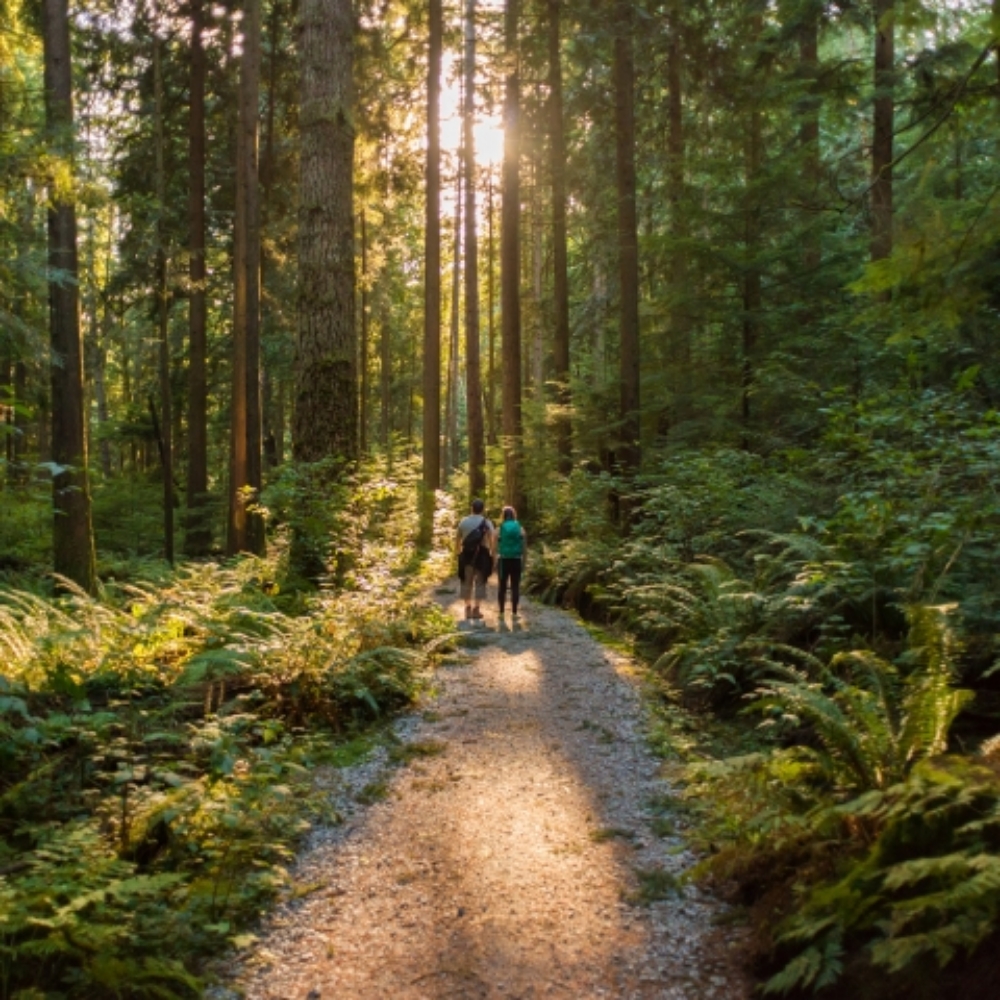 Gåture om morgen/formiddagen ja tak