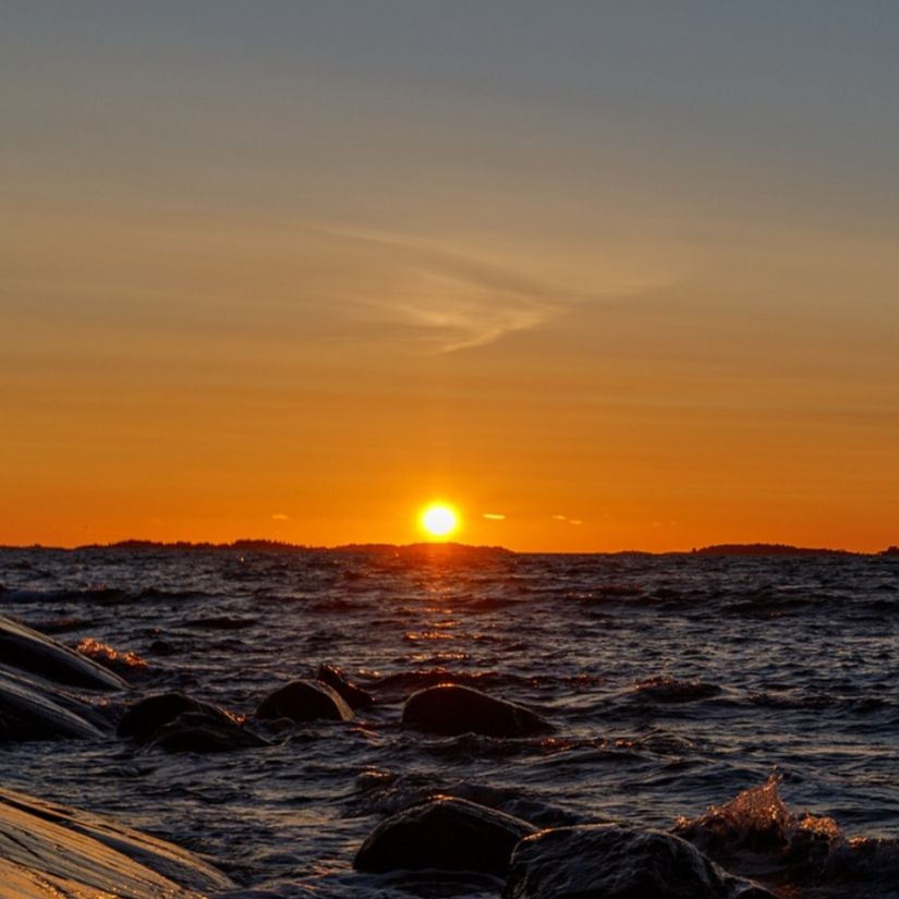 Søger nyt liv i vennekredsen 