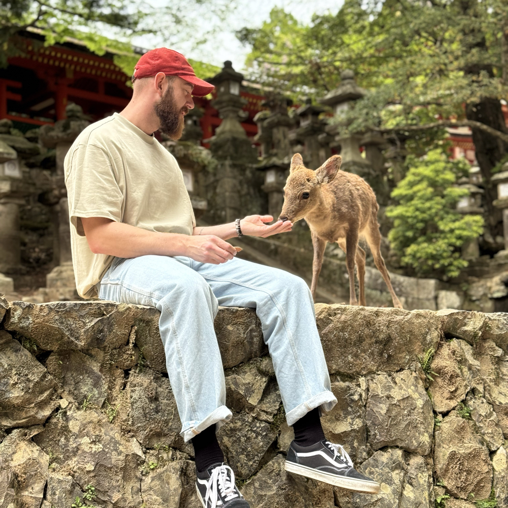 Søger et fælleskab, venner etc