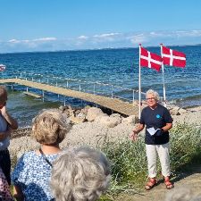 Reersø Vinterbadere