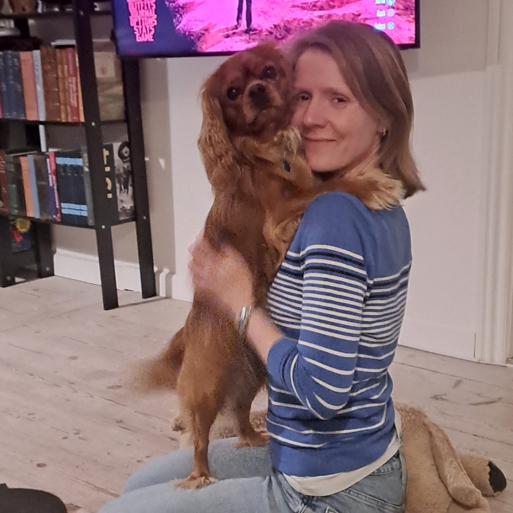 Tilflytter til Køge