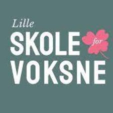 Lille Skole for Voksne