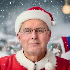 Rejsekammerat til Julerejse 2025