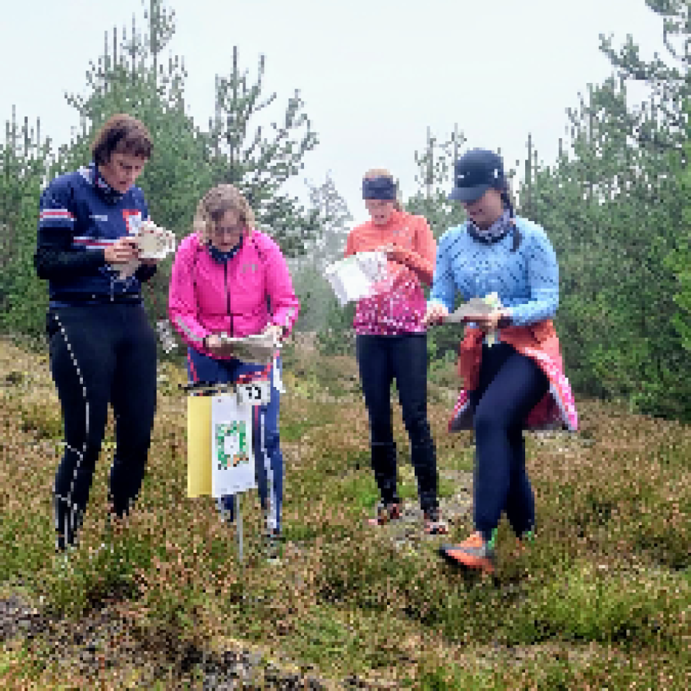 Kolding Orienterings-Klub