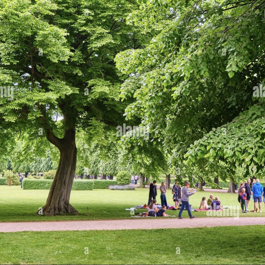 Fitness og morgenmad i Kongens Have