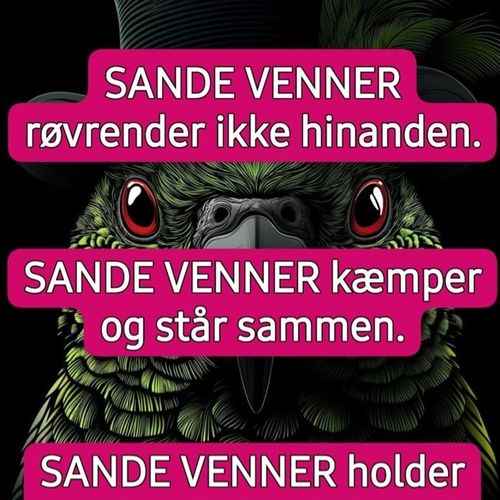 Søger fede oplevelser