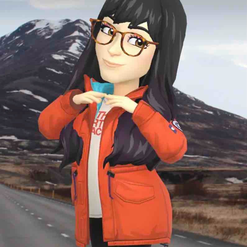  søger venner for at lære dansk