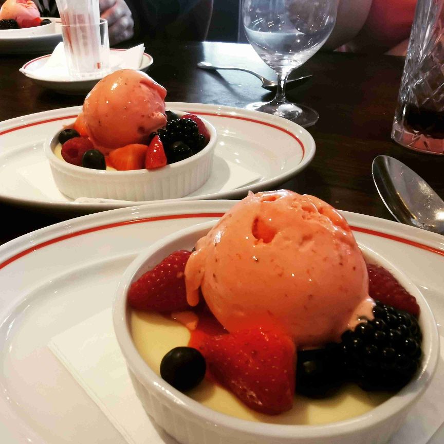 Søger venner/veninder