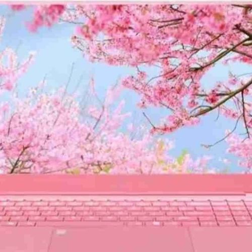 Fællesskab på Frederiksberg 🔥💪🔥