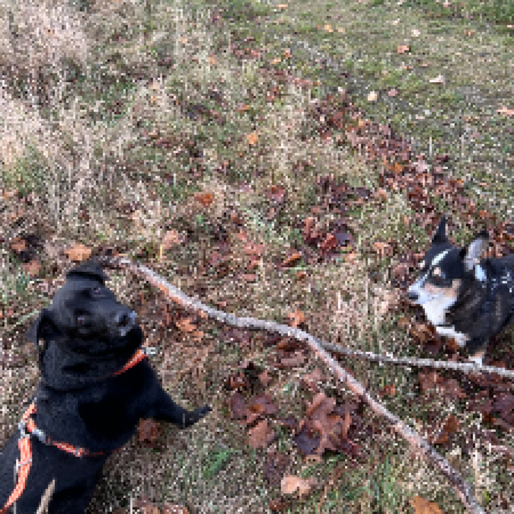 Åbne for nye bekendtskaber