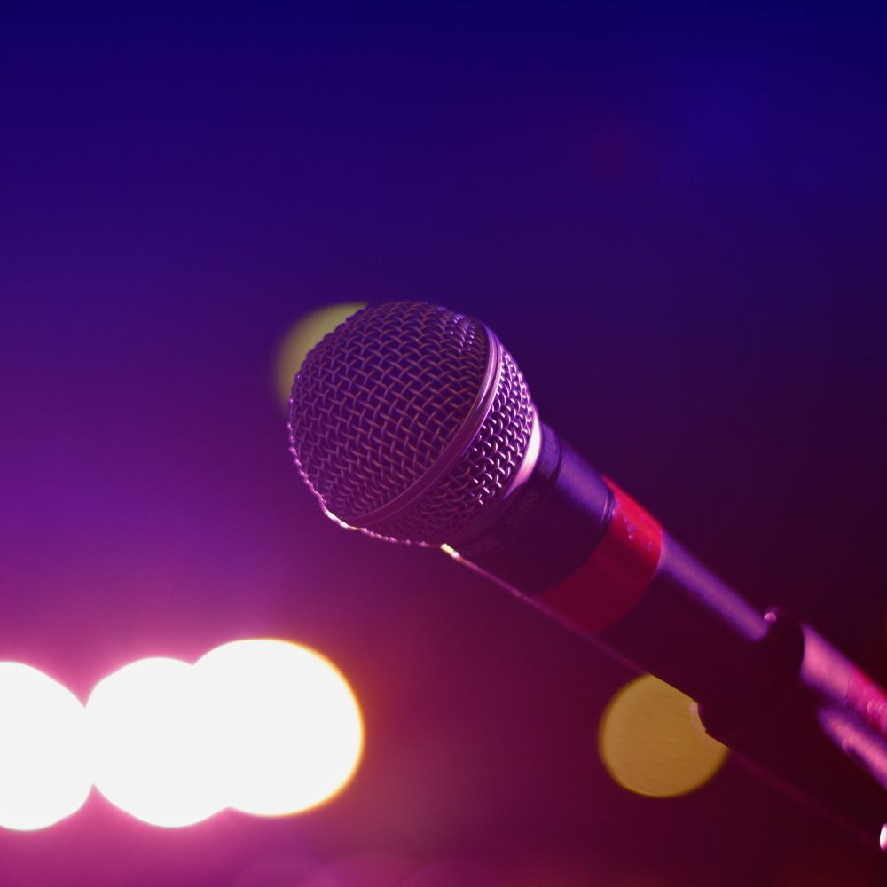 Sidekick til karaoke søges
