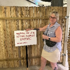 Venner og veninder 