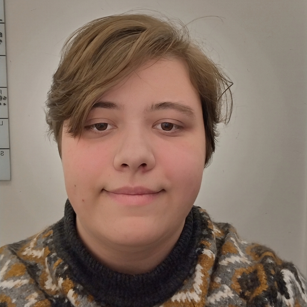 Søger venner/veninder