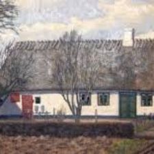 Spinde, strik, dyr, økologi, natur