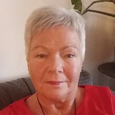 Vänner i Falkenberg