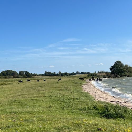 Feriefamilie
