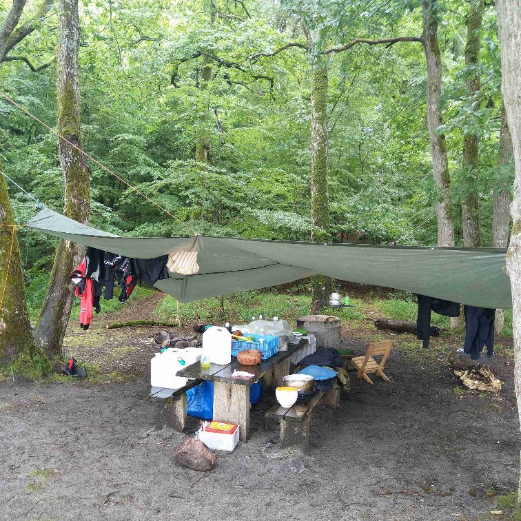 DDS Hammershøj