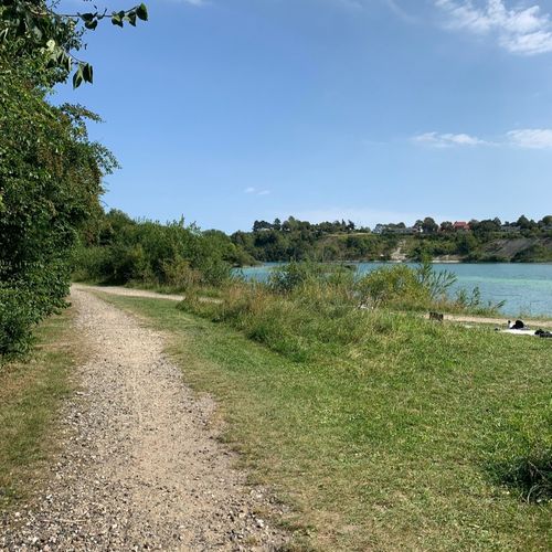 Promenad-kompis.