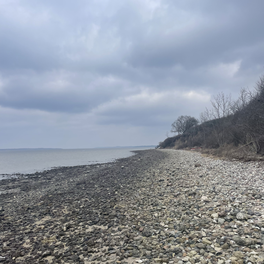 Boligsøgende Frederikssund 